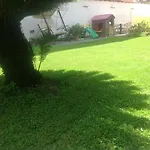 スピネッリ ヴィアレッジョ