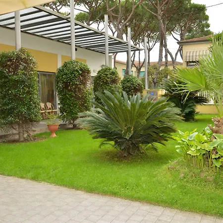 スピネッリ ヴィアレッジョ